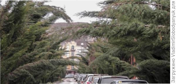 от  ветра и  снега