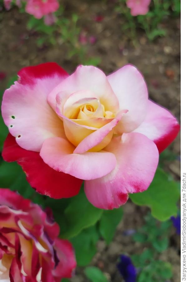 фото от  Татьяна Карпенко