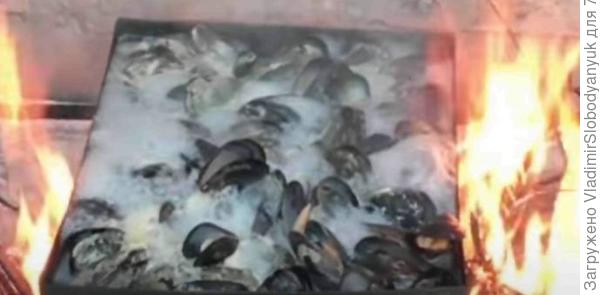 последний  раз   в августе