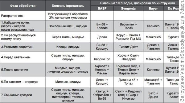 это   очень   приблизительно