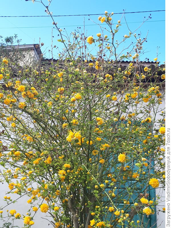 Поздравляю  и исполнения всех желаний