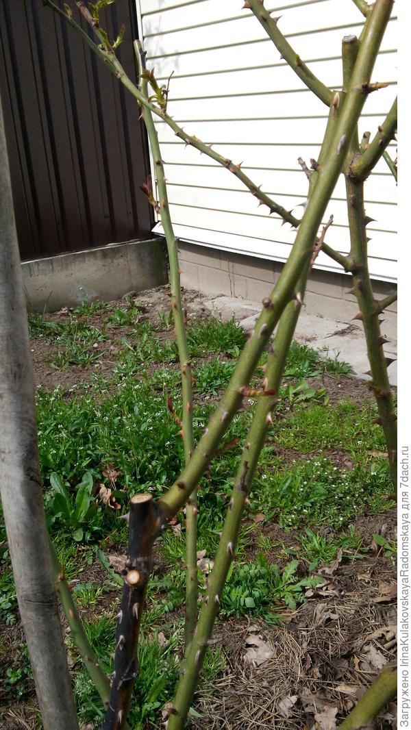 И еще. Какие больше, какие меньше