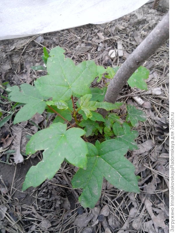 Еще поближе