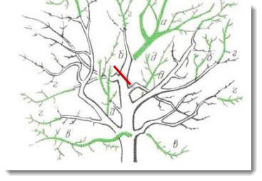 Обрезка центрального проводника