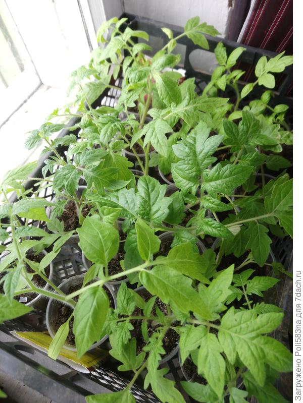 Другой подоконник