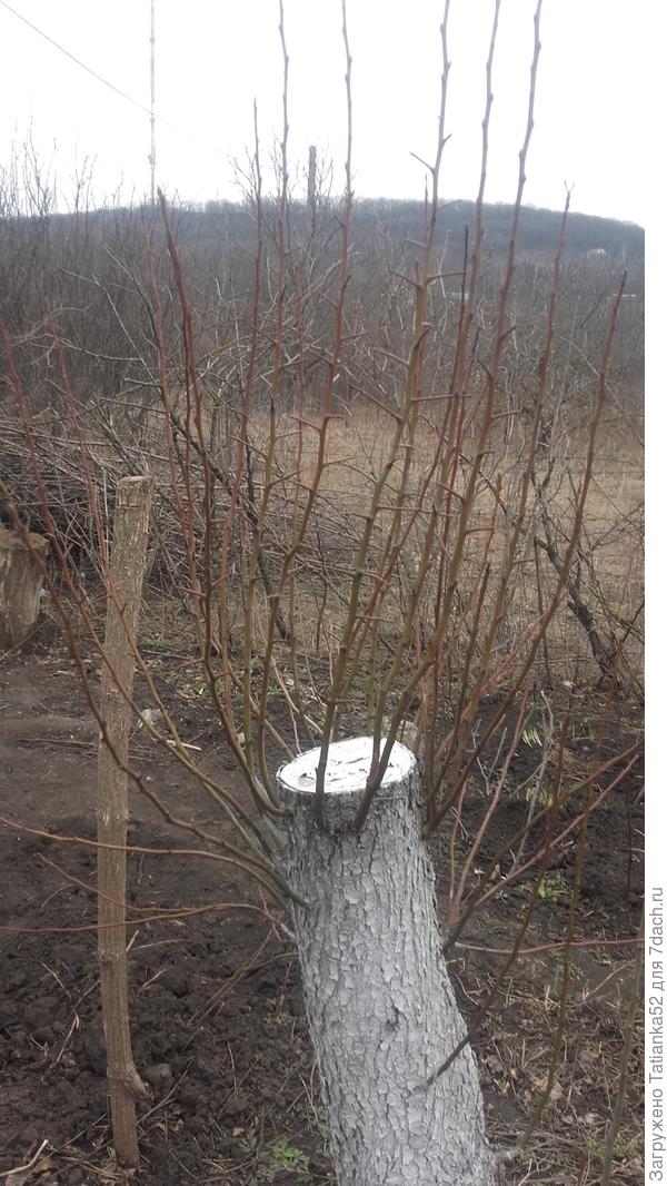 С другой стороны