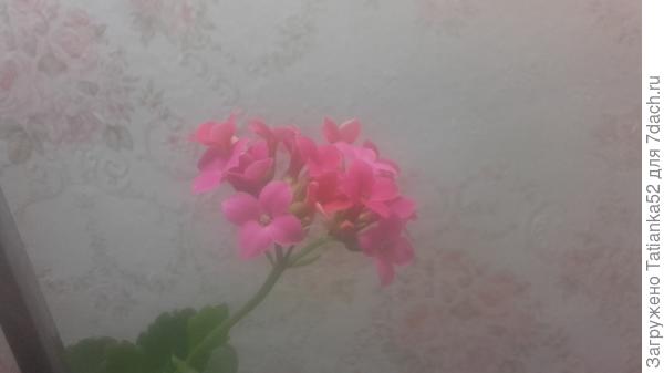 С Днем рождения!