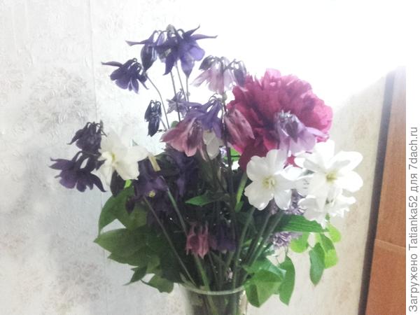 Ура! Загрузилось!