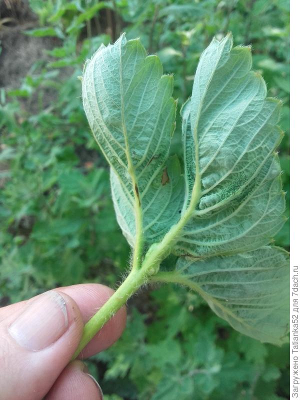 Так с обратной стороны