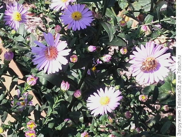 А это подарок.