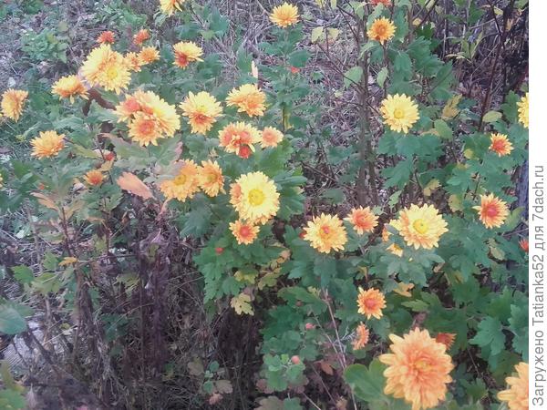 Кусочек лета!