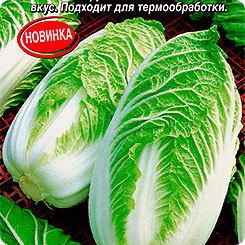 Капуста пекинская Сто пеленок