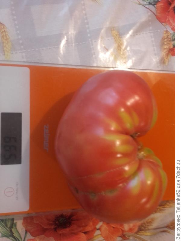 Какой это сорт?