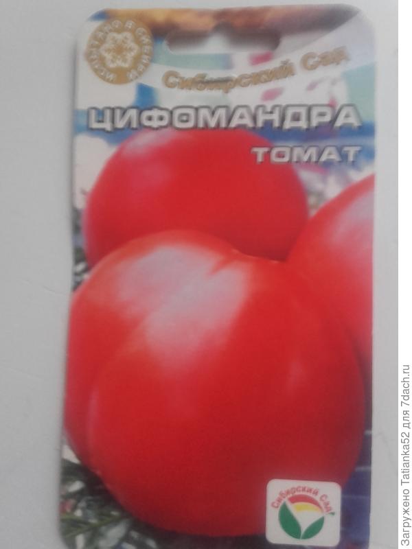 Цмфомандра