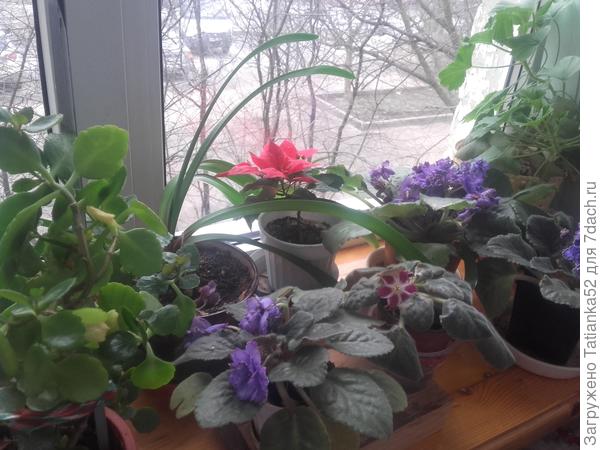 Скоро им потесниться придется.