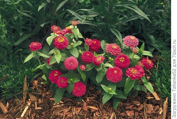 Веры в себя и любви ближних!