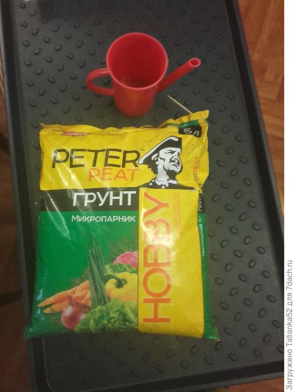 Грунт