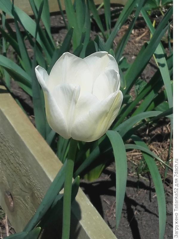 Скорейшего прихода весны и хорошего урожая!