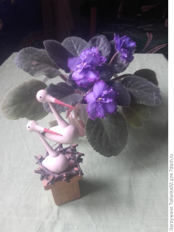 Поздравляю!