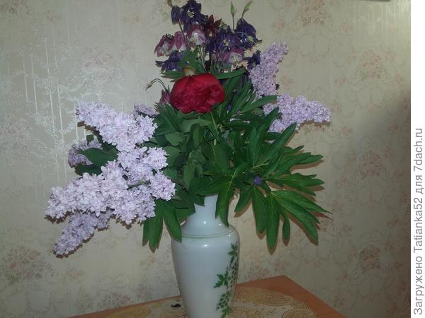 Дарю букет весенних цветов.