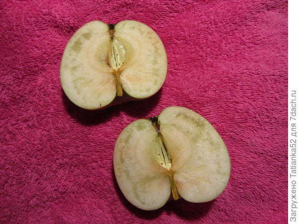 Вот такие прозрачные прожилки.