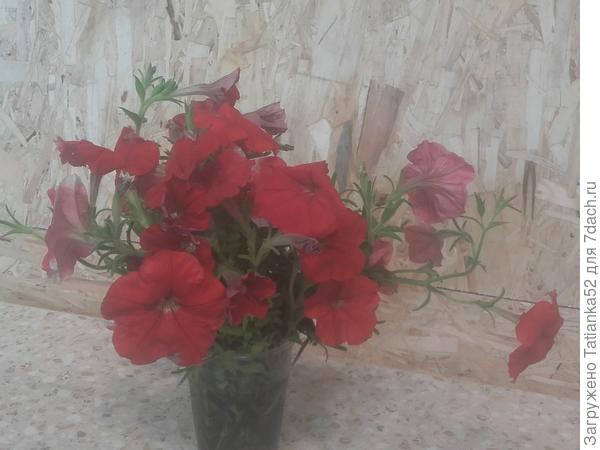 Вот такой букетик из петуний