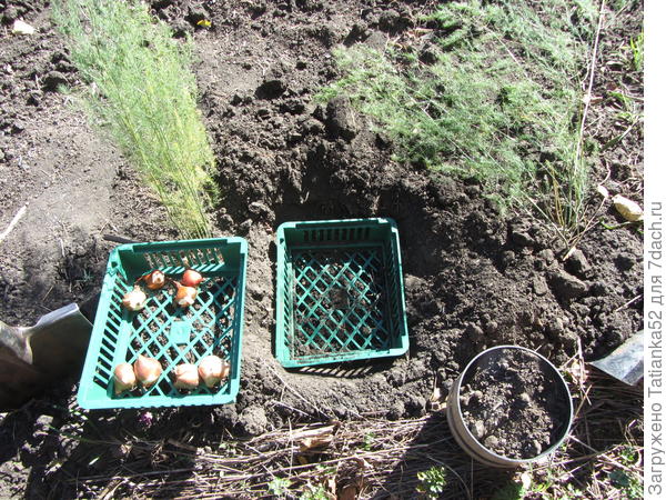 Сделала углубление для корзинки