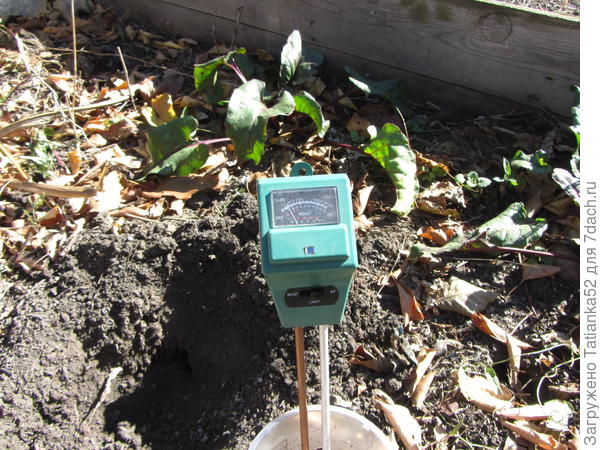 Измеряю кислотность. 7.5 единиц