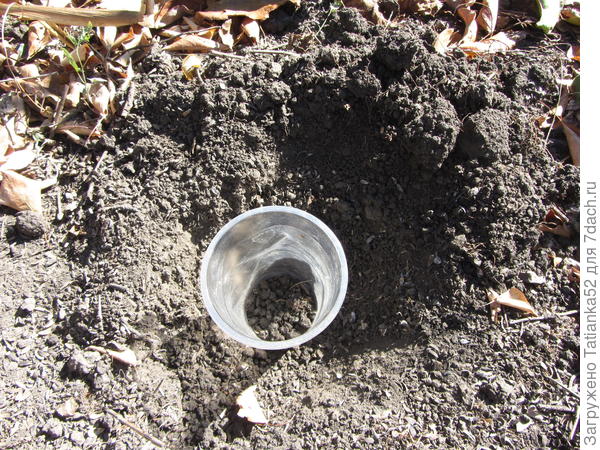 Взяла образец грунта.Залила водой, тщательно перемешала.