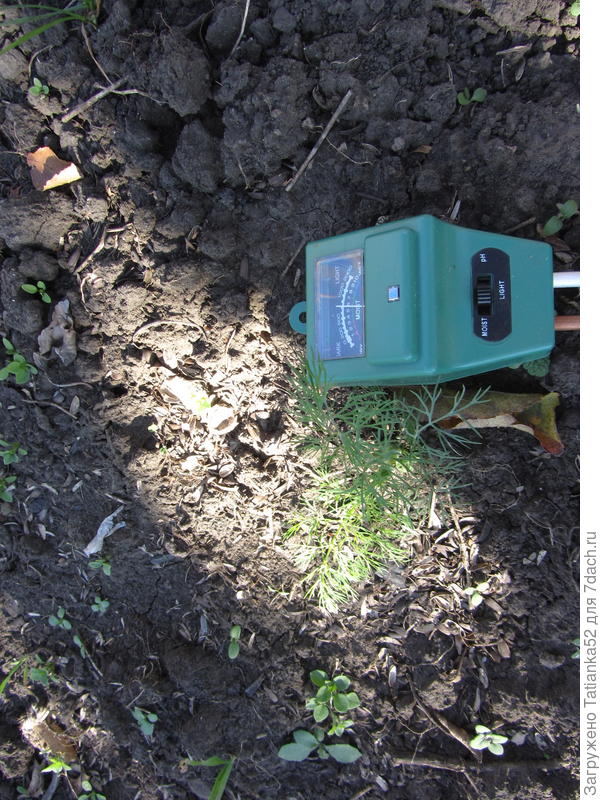 Освещенность в тени.