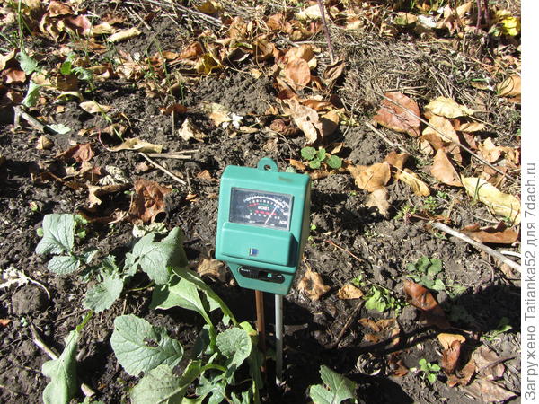 А это влажность после полива редиски. Стоит сушь!