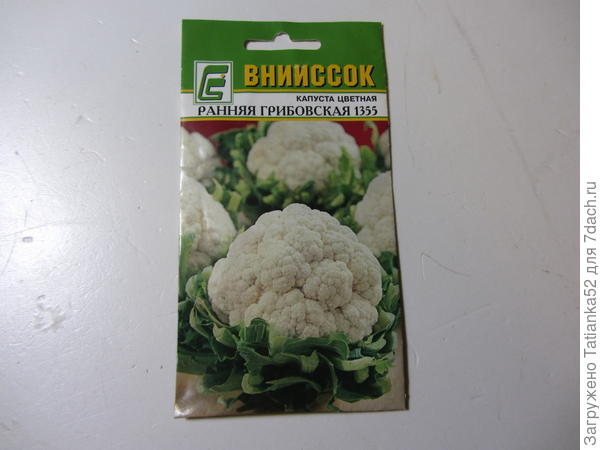 А на этой капусте проводила тестирование биопрепаратов Трихоплант и Биоспектр. Но посев был поздний, полноценных головок не получилось, зацвела.