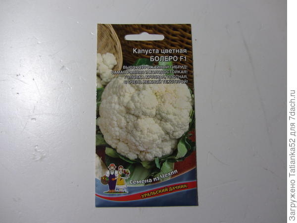 Самая ранняя