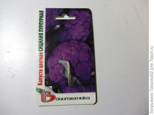 Необыкновенная чернильно-фиолетовая окраска!