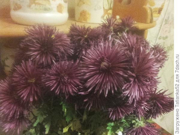 Последние цветочки