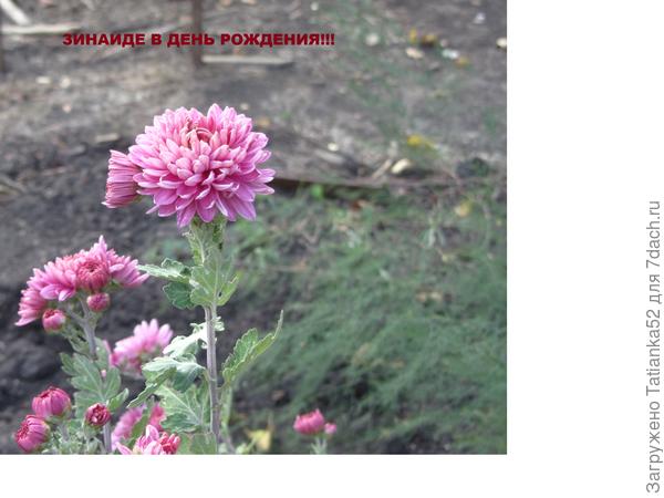 Поздравляю