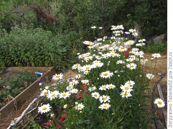 Привет из лета!