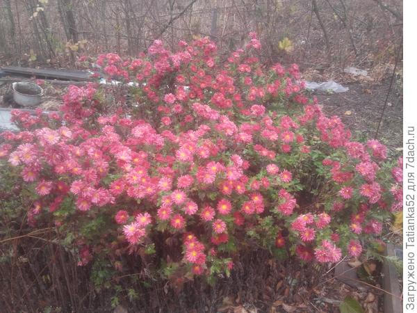 На двоих хватит?