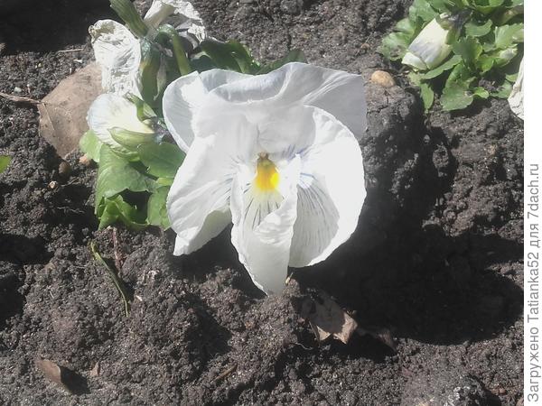 От всей души!