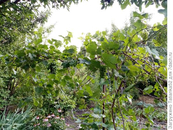 Вот с этого места болезнь началась.