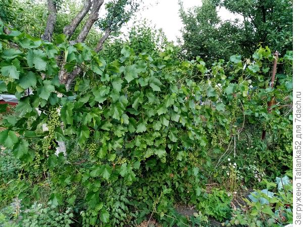 А это дальше и с другой стороны.