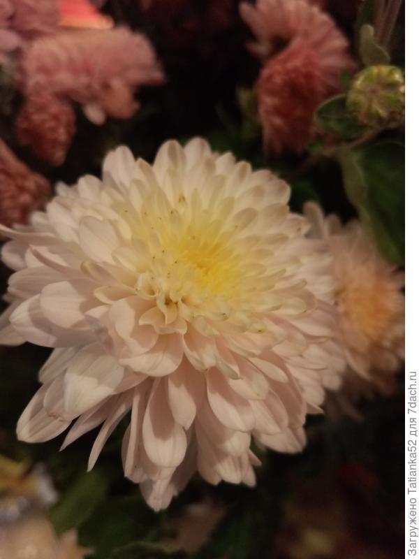 Уже на закате, темновато...