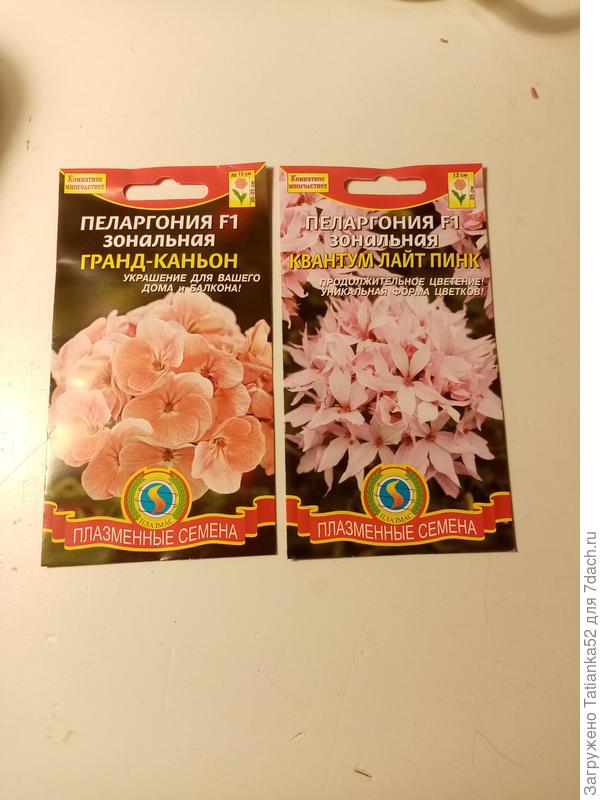 Вот. Каждый по 90р, а в пакетике всего 3 семечка. Уже посеяла