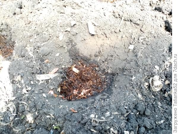 Вот такой "пирожок"