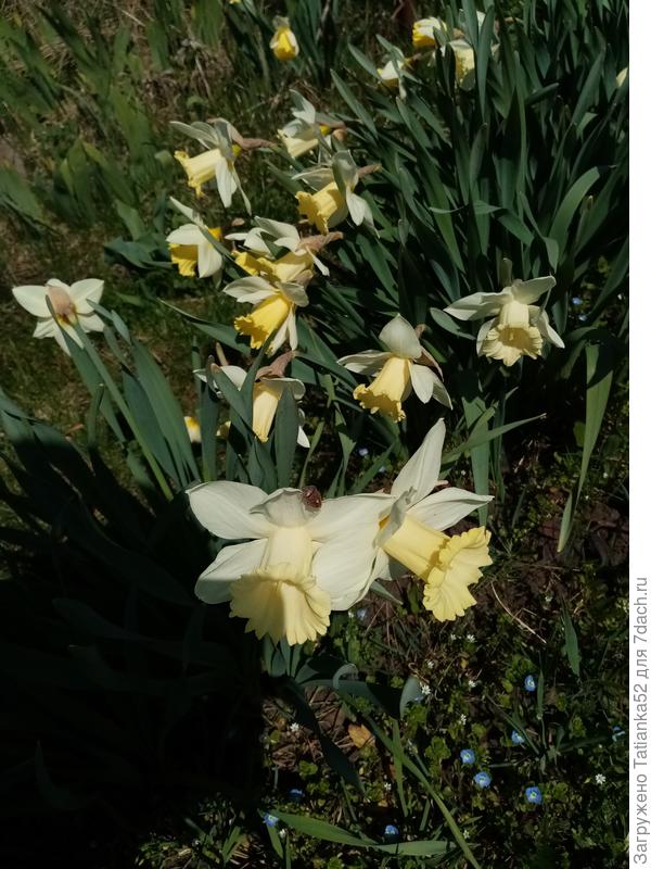 Вот два разных цвета