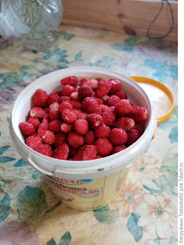 А к малинке вот тебе ещё и земляничка!