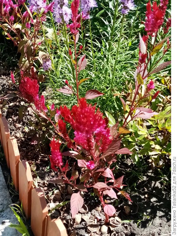 Сейчас вот так.