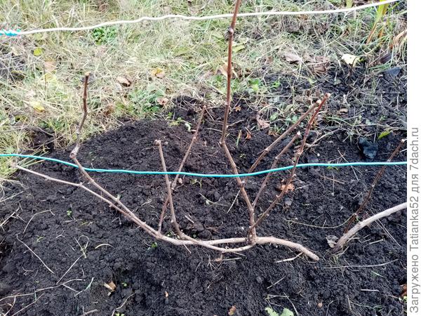 А это вид с другой стороны