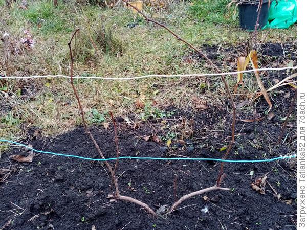 Вот так. Спасибо всем