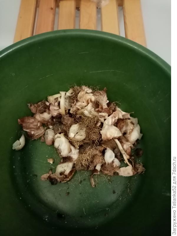 А это шелушки после очистки